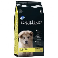 Equilibrio Puppies All...