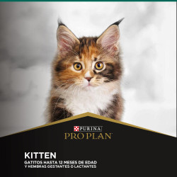 ProPlan Kitten