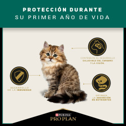 ProPlan Kitten