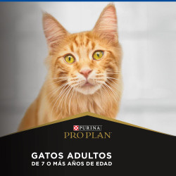 Proplan Gato Adulto Mayor 7 +