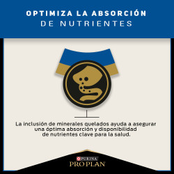 Proplan Gato Adulto Mayor 7 +