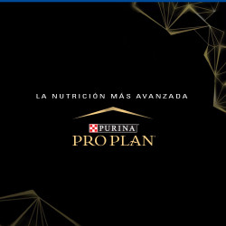 Proplan Gato Adulto Mayor 7 +