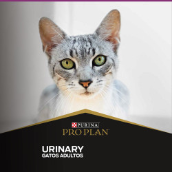 Proplan - Urinary Cat – Tracto Urinario