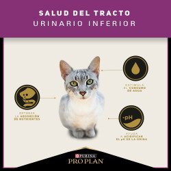 Proplan - Urinary Cat – Tracto Urinario