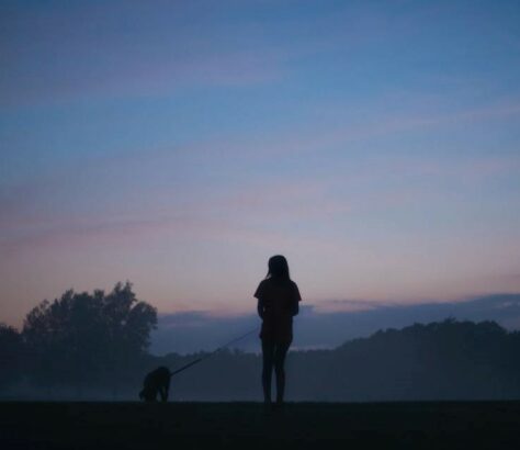 Paseos Nocturnos