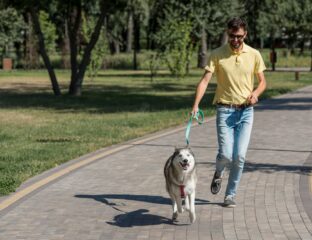 Siete consejos para mejorar la longevidad