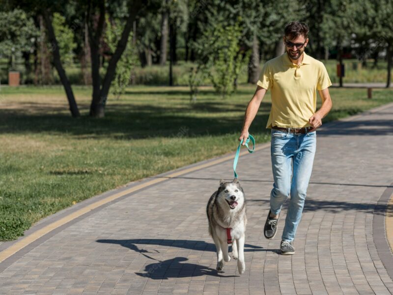 Siete consejos para mejorar la longevidad