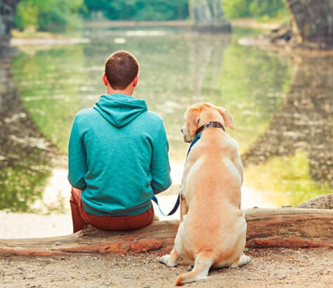 ocho razas de perros que no saben nadar y por que